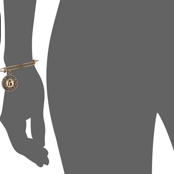 Alex And Ani Replenishment 19 Numerology Number Five Charm Bangle Bracelet - Picture 2 of 2